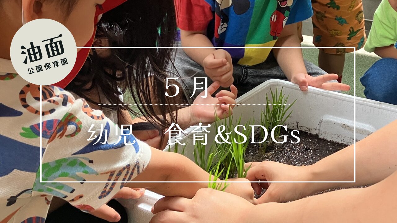 【油面】5月　🍅幼児クラス食育×SDGs🌳
